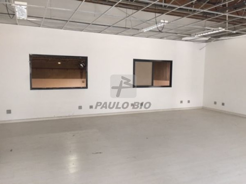 Imagem 4 de 14 de Galpao Em Condominio - Vila Ribeiro De Barros - Ref: 2746 - L-2746