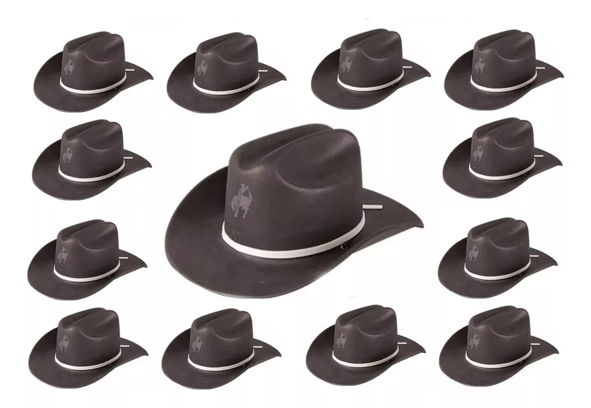 Segunda imagem para pesquisa de chapeu cowboy eva