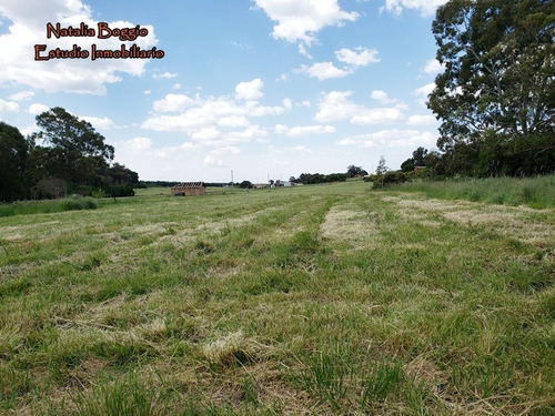 Imagen 4 de 10 de Lote En San Eduardo Del Mar 836 Mts2 Calle 16 Y 107