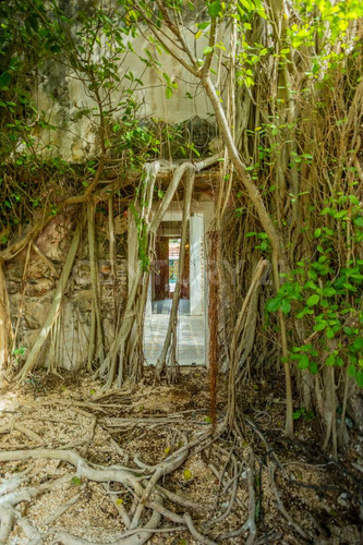Casa En Venta En El Centro, Mérida, Yucatán
