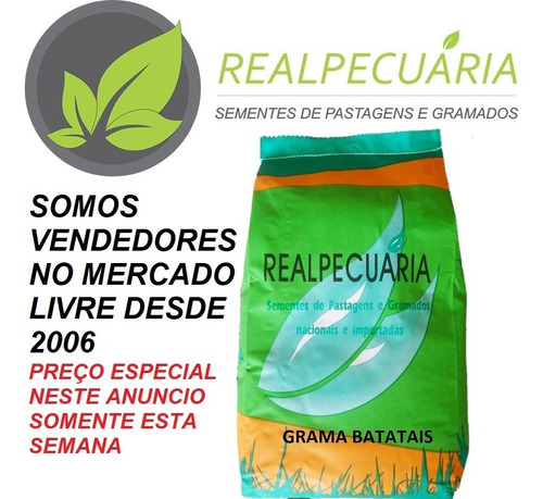 Sementes De Grama Batatais P/ Gramados(1 Kg Rende Até 150m2)