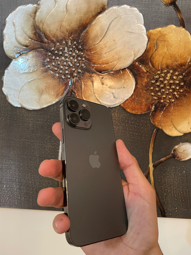 Apple Iphone 13 Pro Max (256 Gb) - Grafito Negro
