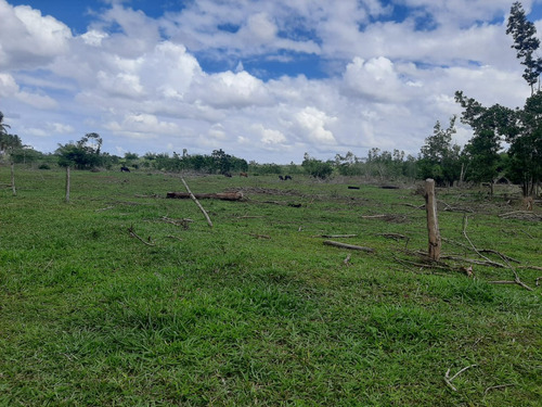 Vendo Finca En Bayaguana De 4,995 Tareas Tiene Mucha Agua Le Bordea El Rio Yavacao
