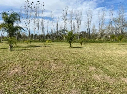 Vendo Lote Con Amarra Barrio Nautico Privado En El Delta Isla Se Llega Unicamente Por Agua 800 Mts ( 20x40 ) Listo Para Construir Puedo Permutar Por Vehiculos