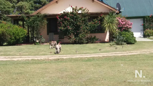 En Venta Chacra De 6hectareas En Jose Ignacio.