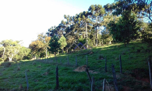 Imagem 21 de 26 de Sítio À Venda, 169400 M² Por R$ 3.500.000,00 - Santa Clara - Jundiaí/sp - Si0003