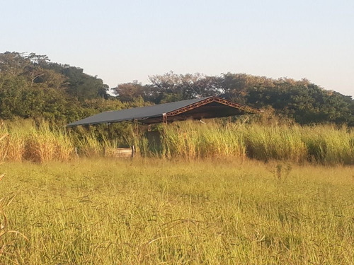 Imagem 1 de 30 de Sítio À Venda, 158994 M² Por R$ 700.000,00 - Santa Terezinha - Piracicaba/sp - Si0028