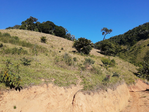 Imagem 11 de 14 de Vendo Chacara De 2,5 Alq Região De Natividade Da Serra (4238