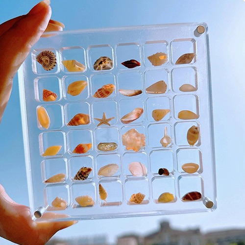 Caja De Almacenamiento Magnética Con Forma De Concha Marina,