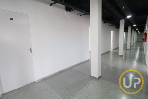 Imagem 15 de 15 de Kitnet - Goiânia - Belo Horizonte - R$ 750,00 - 8250