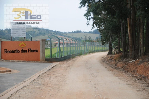 Imagem 10 de 15 de Lote / Terreno Em Estrada Nova - Pinhalzinho - 1319