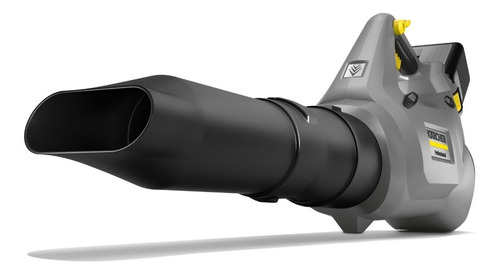 Imagen 6 de 10 de Sopladora De Aire Inalámbrica Kärcher Lb 930/36 Bp