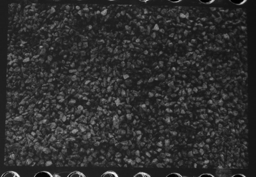 Kit Com 5 Filmes Fotográficos Bones 35mm