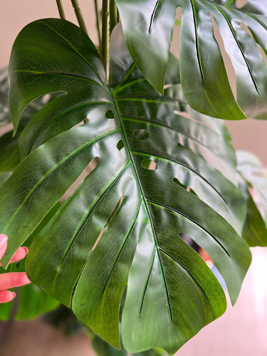 Imagen 2 de 2 de Planta Artificial Monstera Xl