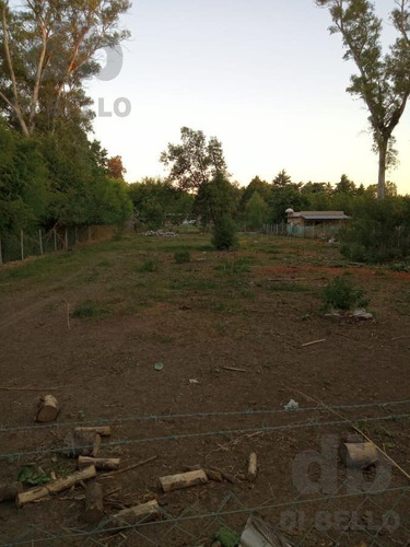 Imagen 7 de 12 de Terreno - Capilla Del Señor