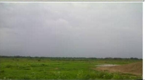 Imagen 12 de 14 de Finca En Venta En Edo. Barinas, Arismendi