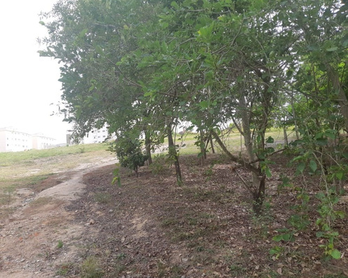Imagem 22 de 23 de Terreno À Venda No Parque Campolim - Sorocaba/sp - Ar00760 - 34594413