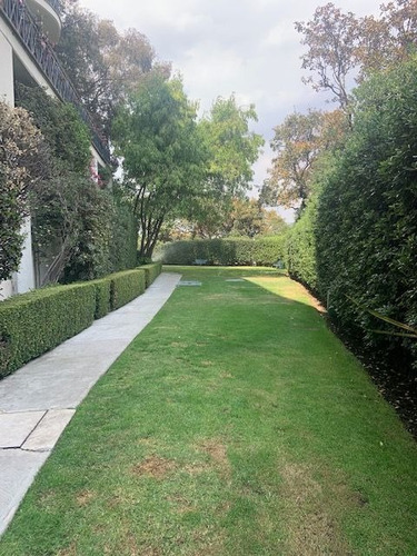 Imagen 4 de 30 de Espectacular Departamento En Desarrollo Girault, Lomas De Vi