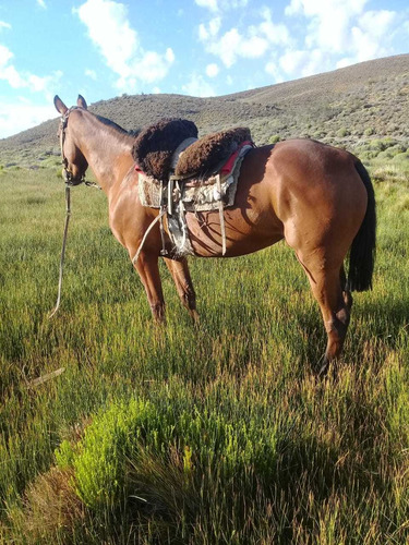 Oportunidad!!! Campo Minero Ganadero Acepta Financiación