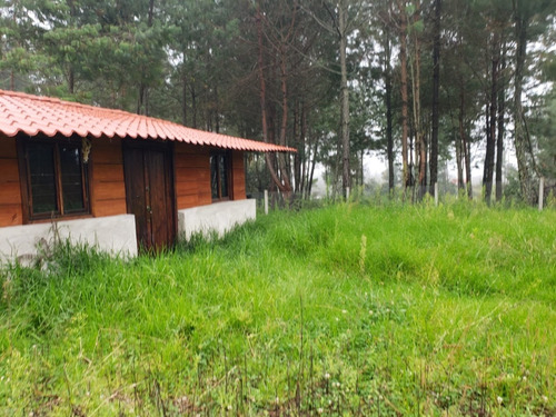 Imagen 5 de 9 de Vendo Cabaña En Zacatlan, Puebla