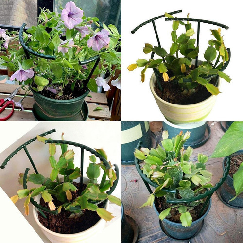 14 Piezas De Soporte Vegetal Estructuras 14cmx14cm