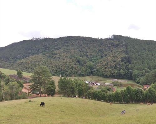 Imagem 20 de 30 de Fazenda Bem Localizada À Venda Em Juquitiba. - 15 - 32982853