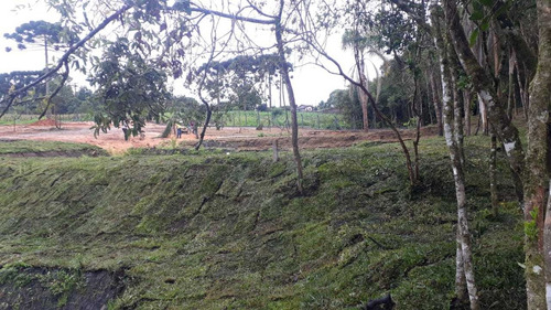 Imagem 8 de 8 de Chácaras A Venda