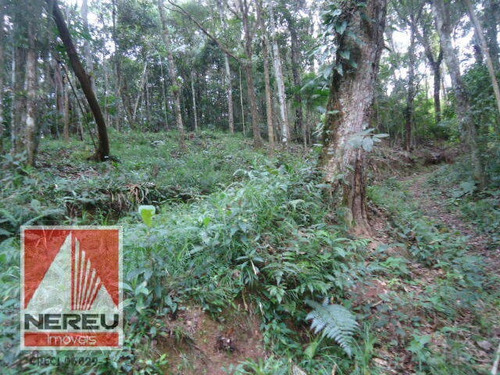Imagem 2 de 4 de Terreno Residencial - 1301