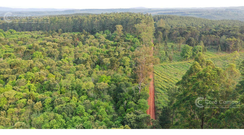 Chacra De 53ha En Venta En Puerto Piray, Misiones