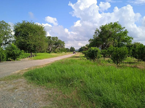 Venta Rancho 94 Hectareas El Otatal Alamo Temapache Veracruz