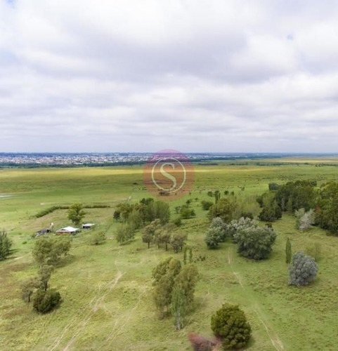 Terreno Lote En Venta En Los Cardales, Exaltación De La Cruz, G.b.a. Zona Norte