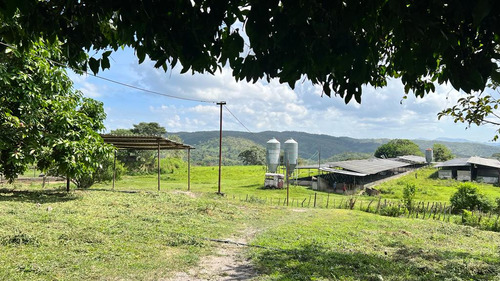 Agropecuaria Prima Rosa En Venta. (nc)