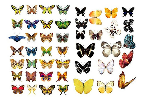 Calendario De Planificación, Diseño De Mariposas Amarillas Y