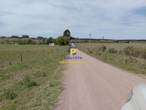 73 Hectáreas En Canelones