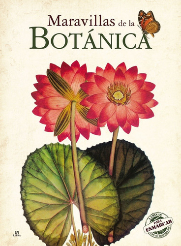 Maravillas De La Botanica + Laminas Para Enmarcar