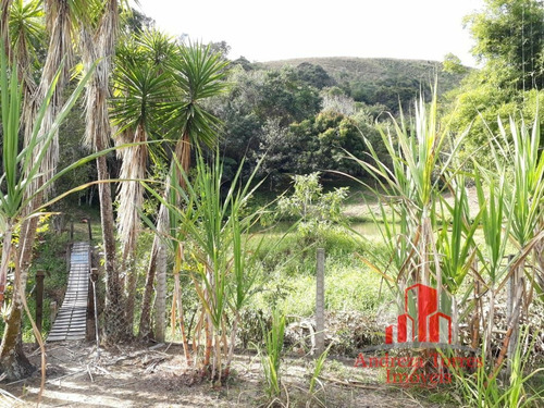 Imagem 21 de 25 de Sítio Sítio À Venda Em Lagoinha/sp - 1353