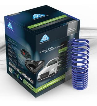 Kit Espirales Progresivos Renault Clio Mio Trasero 2008...