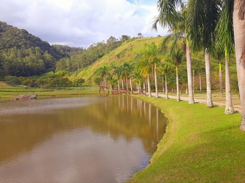 Imagem 19 de 27 de Terreno Em Condomínio Com 2.000 M², Em Bonsucesso. - Te00397 - 69360138