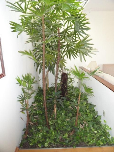 Imagem 23 de 29 de Casa À Venda, 4 Quartos, 2 Suítes, 4 Vagas, Jardim Santa Rosália - Sorocaba/sp - 2067