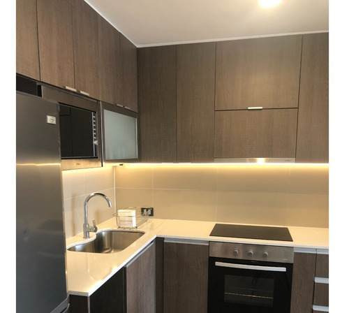 Imagen 8 de 29 de Departamento Amoblado, Nuevo, Excelente, Amplio, Funcional