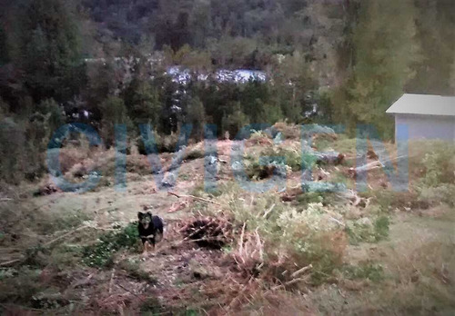 Exclusivas, Planas, Orilla Rio Puelo 0,5há (94334)