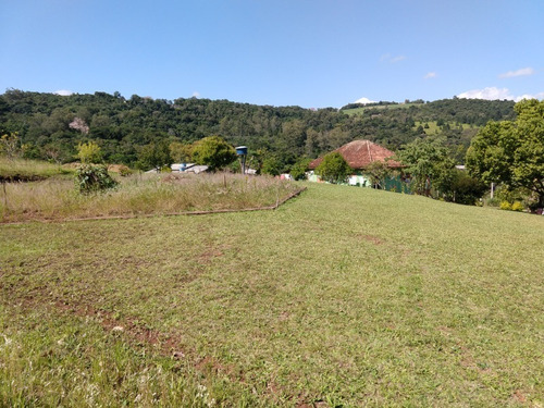 Chácara 15.600 M² - Lomba Grande - Novo Hamburgo - Rs - 2114 - 33889629