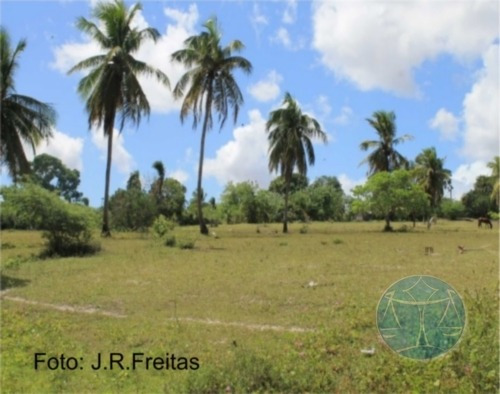 Imagem 1 de 9 de 3.8 Hectares Em Zona Urbana De Parnamirim - V-7555