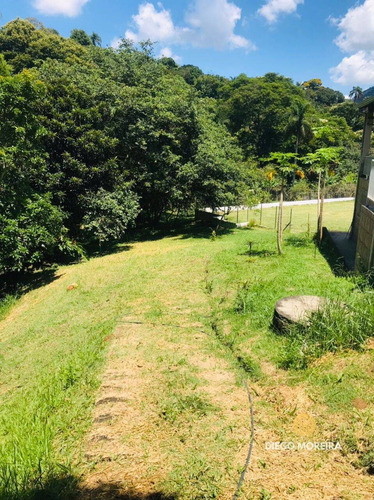 Imagem 14 de 15 de Chácara Á Venda Em Terra Preta Com 2.243 M² - Ch47