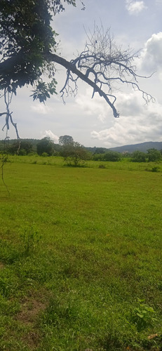 Imagen 30 de 30 de Finca En Guigue, 35 Hectareas. 5610462