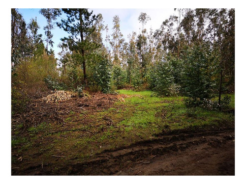 Imagen 5 de 14 de Venta Parcela Cobquecura