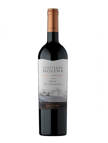 Vino Castillo De Molina Merlot 6 Botellas