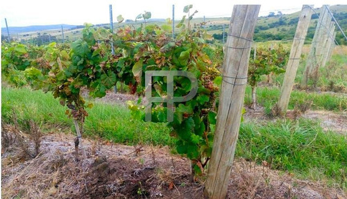 Imagen 5 de 7 de Campo En Venta Pueblo Edén 40 Hectáreas