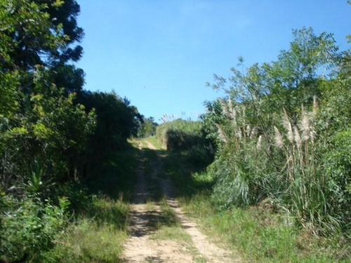 Chácara Todos À Venda, Campina De Quitandinha, Quitandinha - Ch0005. - Ch0006