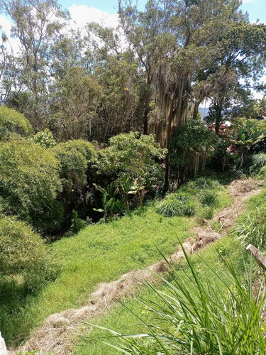 Imagen 3 de 16 de Best House Vende Terreno En San Antonio De Los Altos, Vía Al Faro.